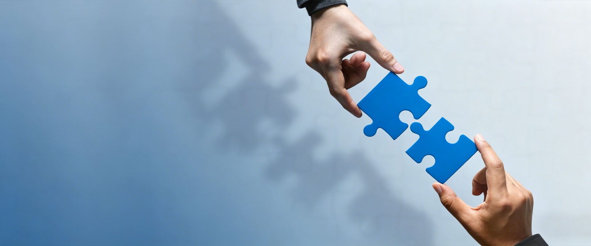 Partnership